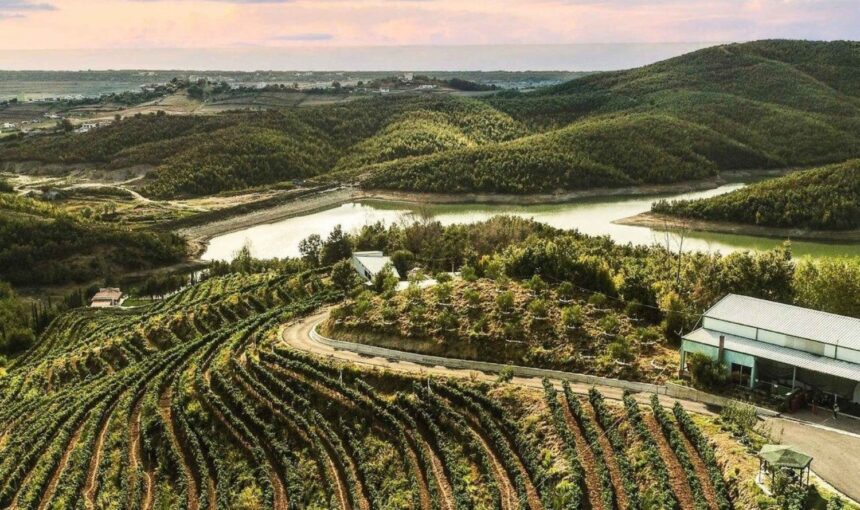 Agrofarm and Wine Tasting Day Trip